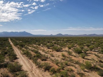 Timberland Property in Pima County, Arizona