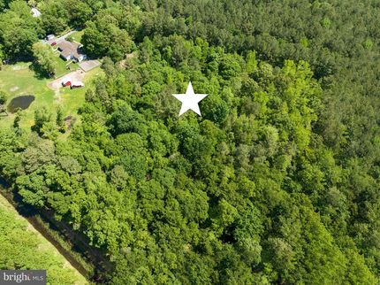 Undeveloped Land in Sussex County, Delaware