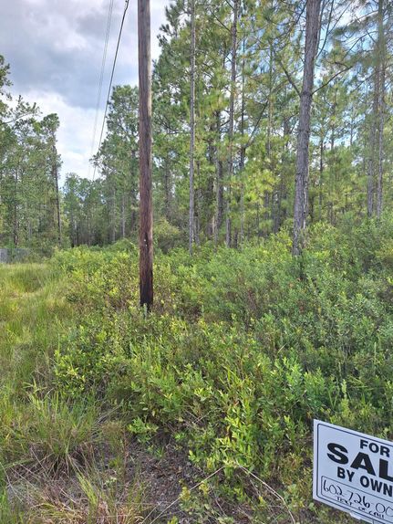 Undeveloped Land in Marion County, Florida