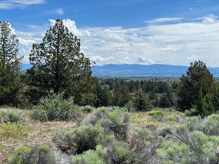 Undeveloped Land in Modoc County, California