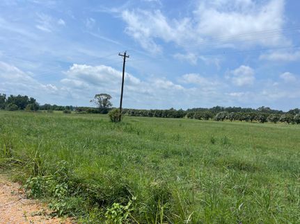 Farm and Ranch in Chilton County, Alabama