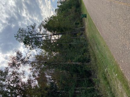 Recreational Property in Washington County, Alabama