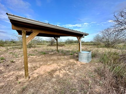 Hunting Property in Duval County, Texas