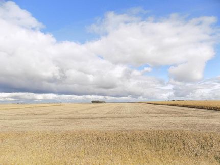 Land in Humboldt County, Iowa