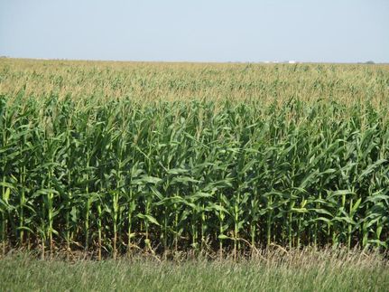 Land in Walworth County, South Dakota