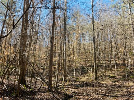 Hunting Property in Walker County, Alabama