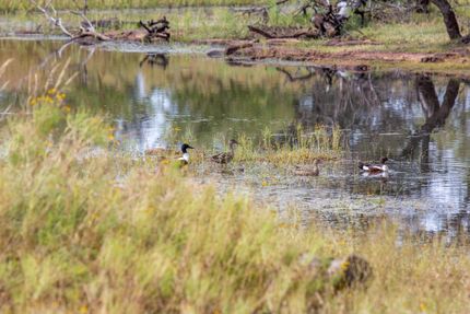 Farm and Ranch in Llano County, Texas