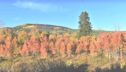 Oceanfront Property in Routt County, Colorado
