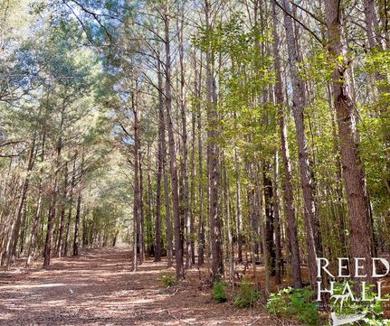 Hunting Property in Pulaski County, Georgia