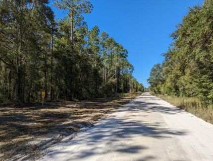 Undeveloped Land in Suwannee County, Florida