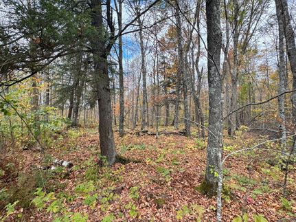 Hunting Property in Sawyer County, Wisconsin