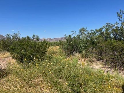 Farm and Ranch in Maricopa County, Arizona