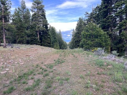 Undeveloped Land in Modoc County, California