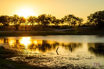 Farm and Ranch in Live Oak County, Texas