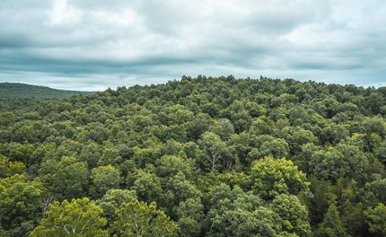 Recreational Property in Reynolds County, Missouri