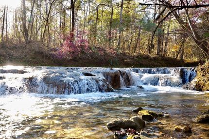 Timberland Property in Clarke County, Alabama