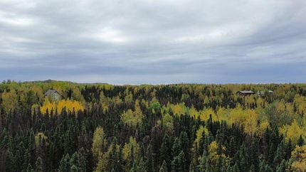 Land in Matanuska-Susitna Borough, Alaska