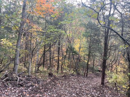 Recreational Property in Ripley County, Indiana