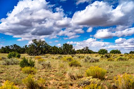 Undeveloped Land in Apache County, Arizona