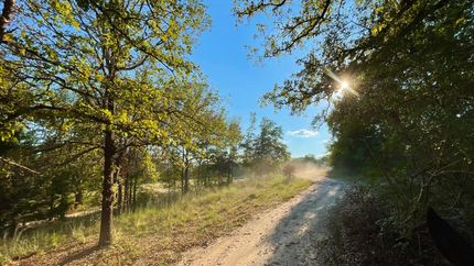 Timberland Property in Limestone County, Texas