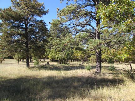 Hunting Property in Crook County, Wyoming