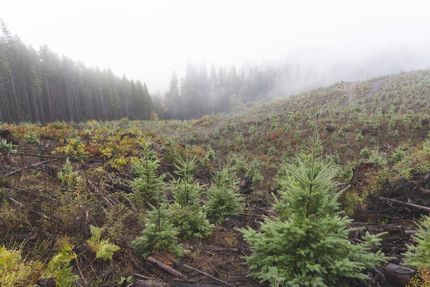 Recreational Property in Benton County, Oregon