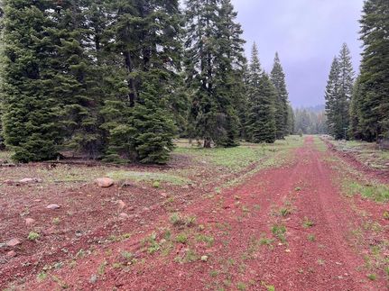 Undeveloped Land in Modoc County, California