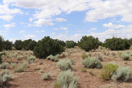 Undeveloped Land in Apache County, Arizona