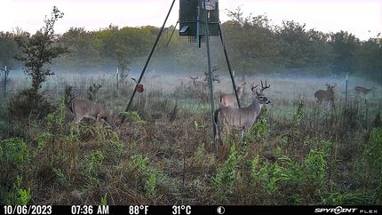Recreational Property in Eastland County, Texas