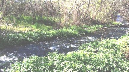 Riverfront Property in Eagle County, Colorado