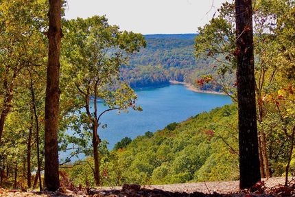 Timberland Property in Carroll County, Arkansas