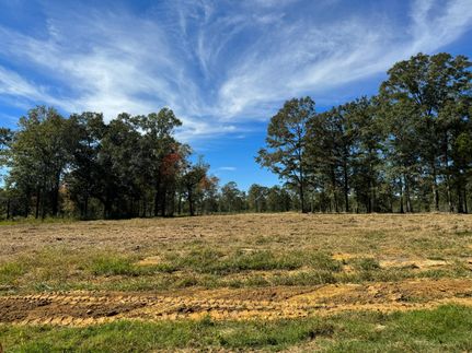 Recreational Property in Mobile County, Alabama