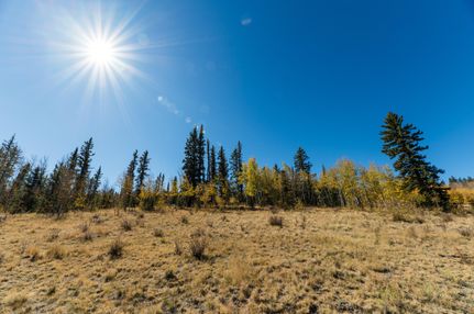 Undeveloped Land in Park County, Colorado