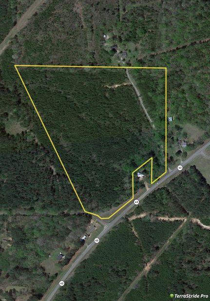 Timberland Property in Madison County, Mississippi