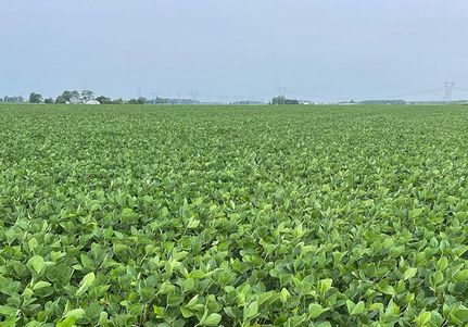 Land in Wells County, Indiana
