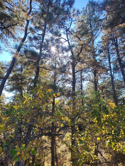Hunting Property in Crook County, Wyoming