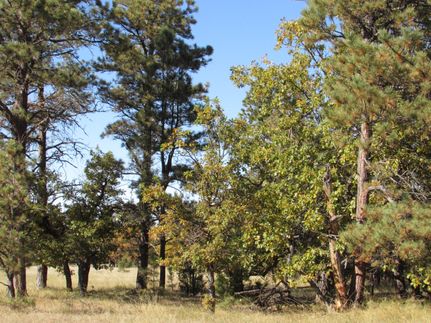 Farm and Ranch in Crook County, Wyoming