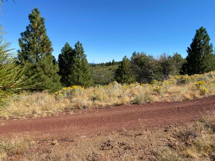 Undeveloped Land in Modoc County, California