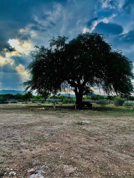 Farm and Ranch in Real County, Texas