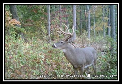 Undeveloped Land in Vinton County, Ohio
