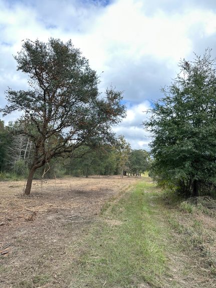 Horse Property in Mobile County, Alabama