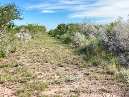 Land in Duval County, Texas