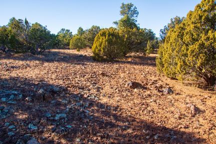 Timberland Property in Apache County, Arizona
