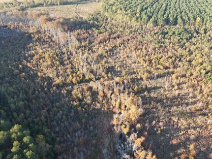 Farm and Ranch in Northampton County, North Carolina