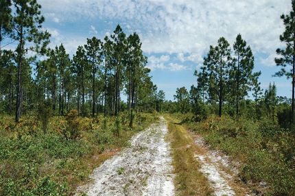 Land in Suffolk County, Massachusetts