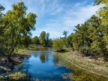 Recreational Property in Burleson County, Texas