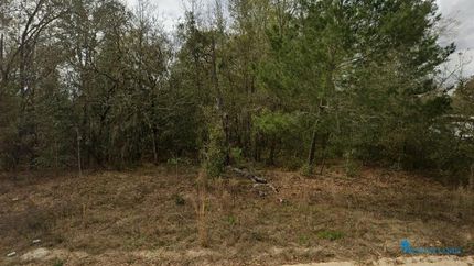 Farm and Ranch in Putnam County, Florida