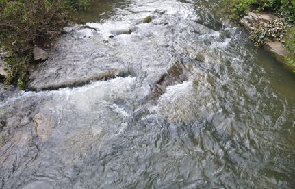 Undeveloped Land in Rhea County, Tennessee