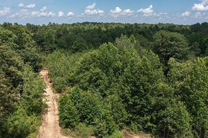 Timberland Property in Benton County, Tennessee