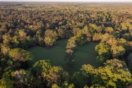 Undeveloped Land in Baldwin County, Alabama